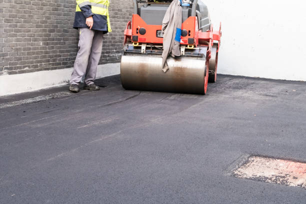 Best Driveway Removal and Replacement  in USA